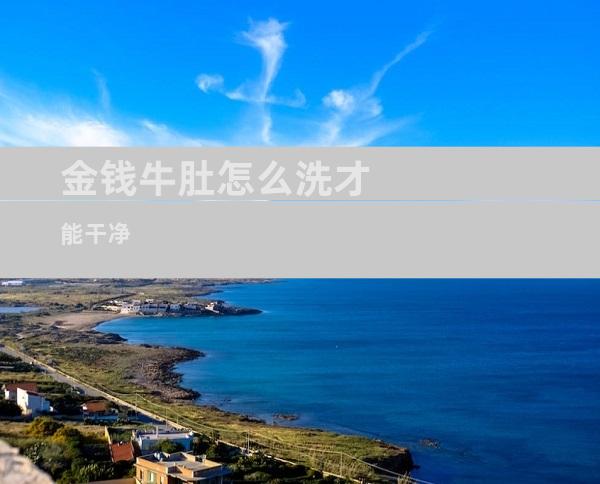 金钱牛肚怎么洗才能干净